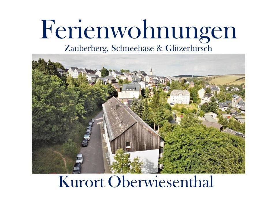 Ferienwohnungen Zauberberg, Schneehase & Glitzerhirsch Oberwiesenthal Exterior photo